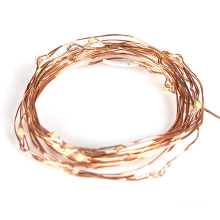 Warm White Mini LED Copper Wire String Light